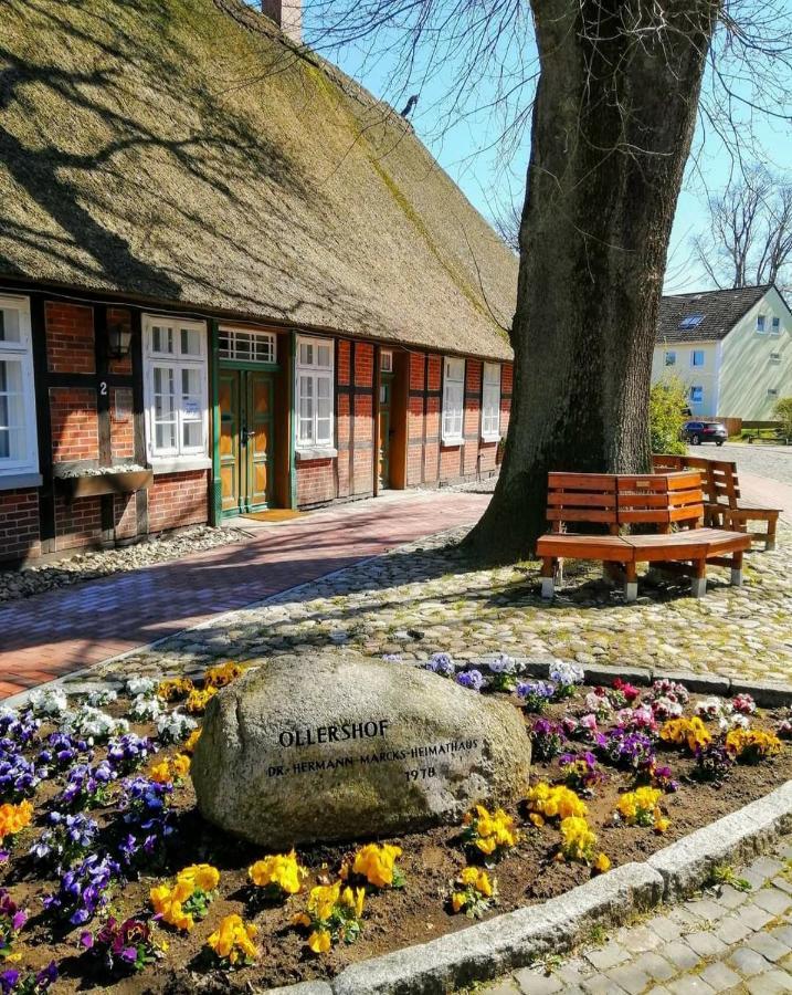 Hotel Kaiserhof Munster im Heidekreis Buitenkant foto